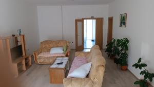 a living room with two couches and a tv at Apartman Miljkovic in Arandelovac