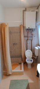 a bathroom with a shower with a toilet and a sink at Apartman Miljkovic in Arandelovac +29 photos