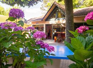 a building with purple flowers in front of it at Chalet charmant à Saint-Jean-du-Gard in Saint-Jean-du-Gard