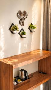 a wooden shelf with three plants on a wall at Beachside Agatti Resort in Agatti