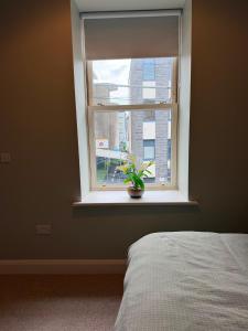 a bedroom with a window with a plant in it at The Gate House in Galway