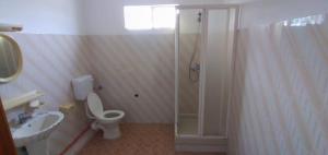a bathroom with a shower and a toilet and a sink at Family apartment with pool in Trou-aux-Biches, 80 m² in Trou aux Biches