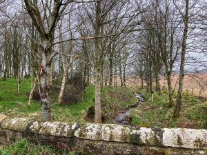 a stone wall next to a stream in a forest at The Garden Pod in Brechin