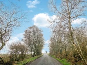 an empty road with trees on either side at The Garden Pod in Brechin +13 photos