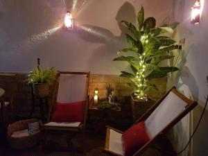 a room with two chairs and a plant and lights at Charming House Santarém + Pool in Santarém +12 photos