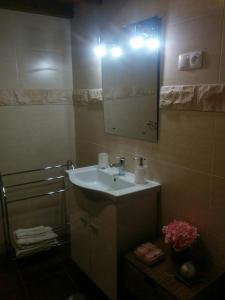 a bathroom with a sink and a mirror and a shower at Charming House Santarém + Pool in Santarém