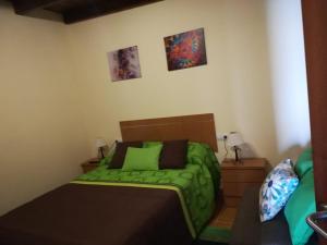 a bedroom with a bed with a green comforter at Charming Apartment La Oliva 30 sqm + Terrace in La Oliva
