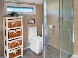 a bathroom with a toilet and a shower with baskets at Eagle Lodge in Cowbridge