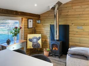 a living room with a stove in a room with wooden walls at Eagle Lodge in Cowbridge