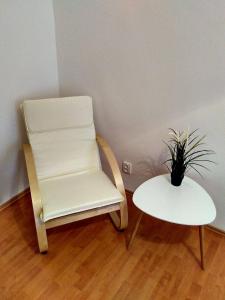 プラハにあるCozy apartment Palmovkaの白い椅子、鉢植えのテーブル