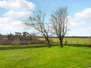 two trees in a field of green grass at Classroom Two - Uk48651 in Lifton
