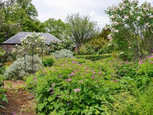 a garden with pink flowers in front of a house at Gilminscroft Gatehouse in Sorn