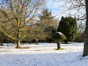 a park covered in snow with trees and bushes at Gilminscroft Gatehouse in Sorn +16 photos