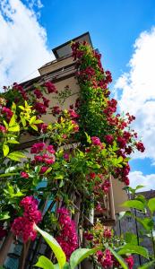 a bunch of flowers on the side of a building at ASINE Dilijan in Dilijan