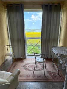 a living room with a large window with a table and chairs at Guest House Bed and Birding in Durankulak