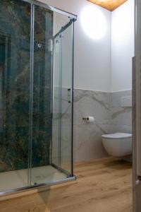 a glass shower in a bathroom with a toilet at La Stella del Borgo in Castelmezzano