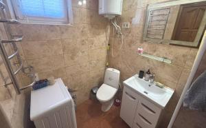 a small bathroom with a toilet and a sink at Будинок у моря in Odesa