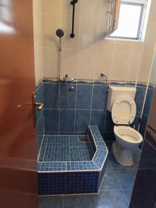 a bathroom with a toilet and a shower at Apartmani Šušanj in Bar +16 photos