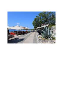 a street with a plant on the side of a road at Villa Noah Apartment 3 in Novi Vinodolski