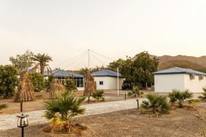 ein Gebäude mit Palmen davor in der Unterkunft ALSARA HiDEAWAY in Qūr