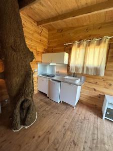 a kitchen in a log cabin with a tree at Les Lodges de l'Etang in Roquebrune-sur-Argens