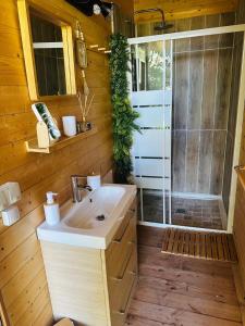 a bathroom with a sink and a shower at Les Lodges de l'Etang in Roquebrune-sur-Argens