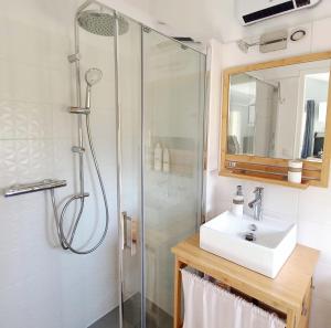 a bathroom with a sink and a shower at Studio cosy avec terrasse privée - arrivée autonome in Rouffiac-Tolosan +4 photos