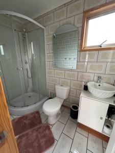 a bathroom with a toilet and a shower and a sink at Depto huerto 23 in Puerto Natales +7 photos