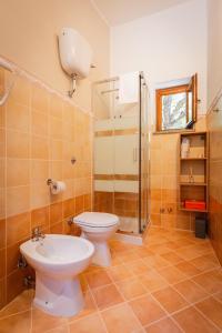 a bathroom with a toilet and a shower at Amandelia in Fardella +76 photos
