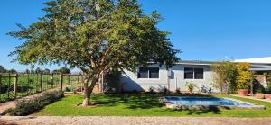 a house with a tree and a swimming pool at Volgenoeg Self Catering Cottage in Oudtshoorn