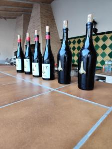 a row of wine bottles sitting on a floor at Casa de La Campana in Cieza