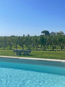 a park bench sitting next to a pool of water at Tournefeuille La Cure in Saint-Émilion