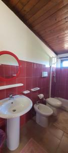 a bathroom with a sink and a toilet and a mirror at Sorres Agriturismo in Tanaunella