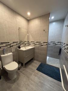 a bathroom with a toilet and a sink and a shower at L'estaou in Lavoûte-Chilhac +40 photos