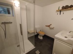 a bathroom with a shower and a toilet and a sink at Duna Kabin in Rácalmás +16 photos