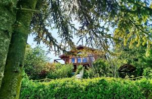 a house in the middle of a garden with trees at Duna Kabin in Rácalmás