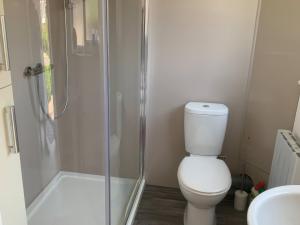 a bathroom with a toilet and a glass shower at Amber House in Dorchester +11 photos