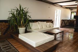 a living room with a white couch and a plant at Vikendica Forest Mansion Surčin in Progar