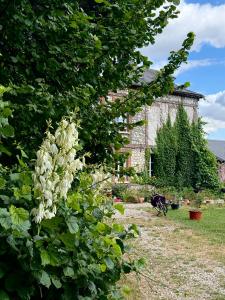 a tree with white flowers in front of a house at La tourelle in Vascoeuil +20 photos