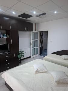 a large bedroom with two beds and a tv at Kombfapartment in Berkovitsa +12 photos