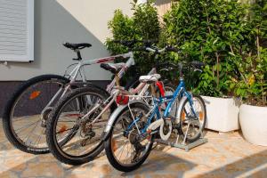 two bikes parked next to each other next to plants at Luxury Beachfront Villa Kata in Rogotin