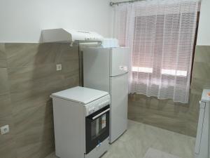 eine Küche mit Kühlschrank und Faxgerät in der Unterkunft Bane apt in Kravlja