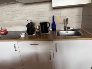 a kitchen counter top with a sink and a counter top at EDO'S HOME in Lonate Pozzolo