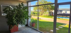 a potted plant sitting next to a sliding glass door at Volgenoeg Self Catering Family Unit in Oudtshoorn