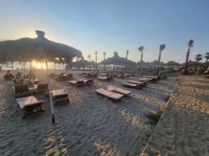 a beach with many chairs and umbrellas and palm trees at Ibra apartament in Golem