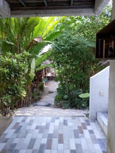an outside view of a garden with trees and plants at Guarumbo in Bacalar