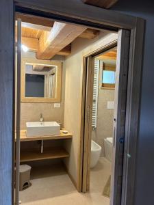 a bathroom with a sink and a toilet at La Mizoun dë Miquél in Ostana