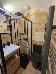a bathroom with a shower and a sink at La Parenthèse Enchantée Chalet in Beuil +8 photos