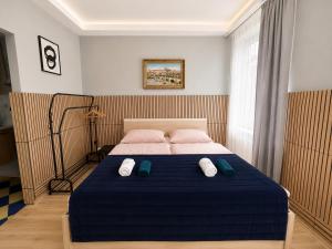 a bedroom with a bed with blue sheets and pink pillows at Kael Apartment 2 in Teplice