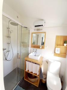 a bathroom with a shower and a sink and a toilet at Studio cosy avec terrasse privée - arrivée autonome in Rouffiac-Tolosan